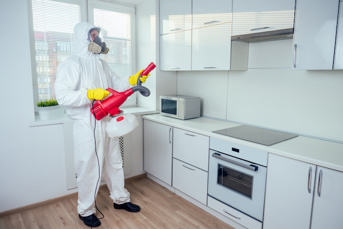 Get Customized Pest Control Service from Our Experienced Team